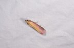 Oncocera semirubella